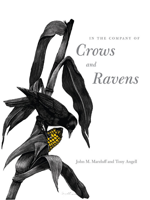 Cover image for In the Company of Crows and Ravens